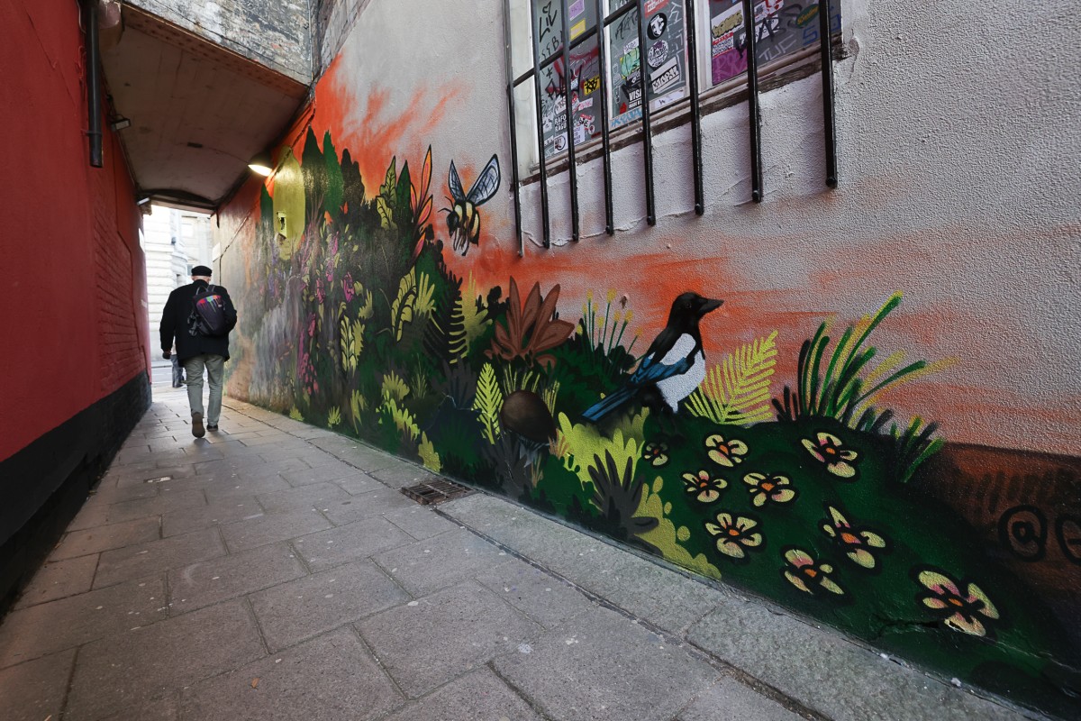 Forth Lane Urban Art Gallery (C) Dave Charnley